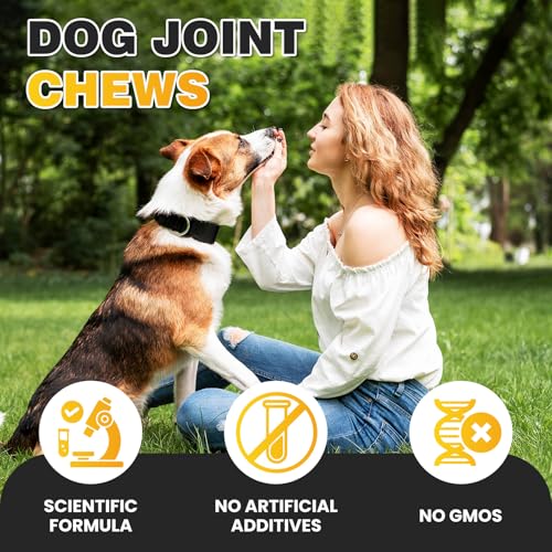 DANQAN Gelenktabletten Hund Arthrose Knochenschutz Tabletten Mit Hund Glucosamin Chondroitin Joint UnterstüTzt Die Gelenke Knochen FüR Bewegungsfreiheit FlexibilitäT 400g Huhn