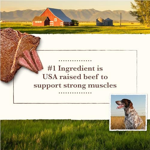 Whole Earth Farms Premium Grain Free And Gluten Free Real Meat Canned Adult Wet Dog Food, Red Meat Recipe – 12.7 OZ Can Whole Earth Farms Premium Grain Free And Gluten Free Real Meat Canned Adult Wet Dog Food, Red Meat Recipe – 12.7 OZ Can