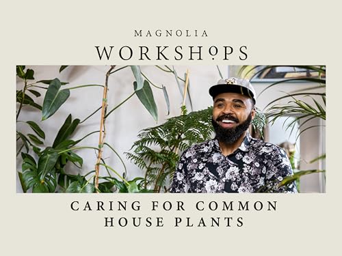 Magnolia Workshops: Caring for Common Houseplants, Season 1