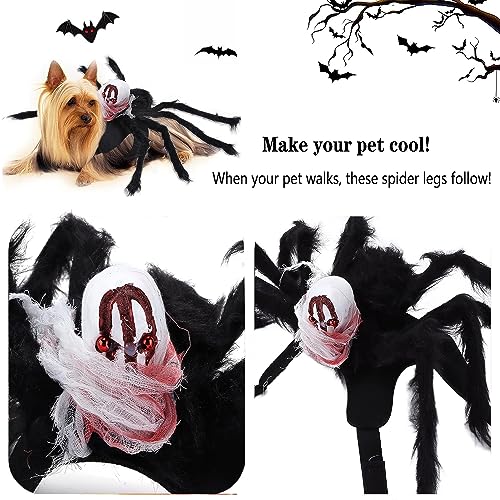 BUKYCAT Halloween-Spinnen-Kostüme für Hunde und Katzen, Spinnenkostüm für Kleine und Mittelgroße Haustiere, Tierdruck, Filzstoff, S