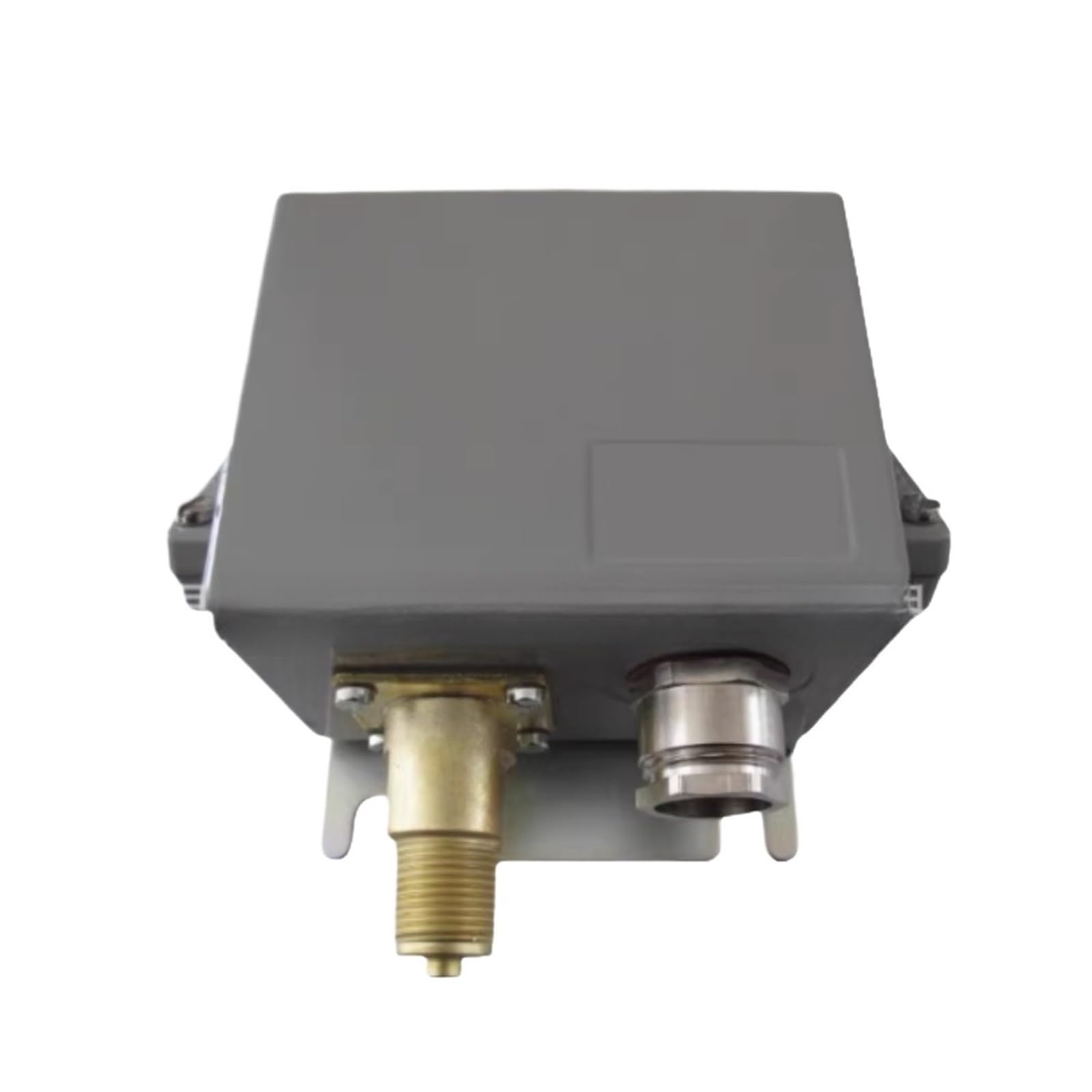 FUYUMIC Pressure switch CAS145 060-316166 pressure controller