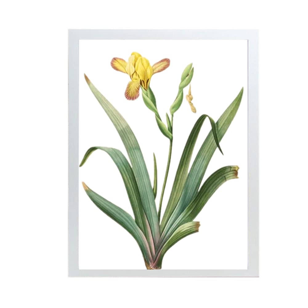 Cadre poster A3 blanc avec plexiglas protecteur pour affiche 29.5x40.6 cm