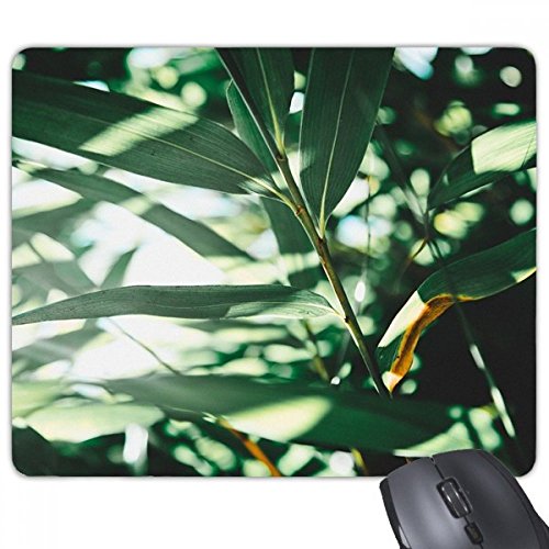 Tapis de souris jeu tapis de bureau antidérapant motif nature photo