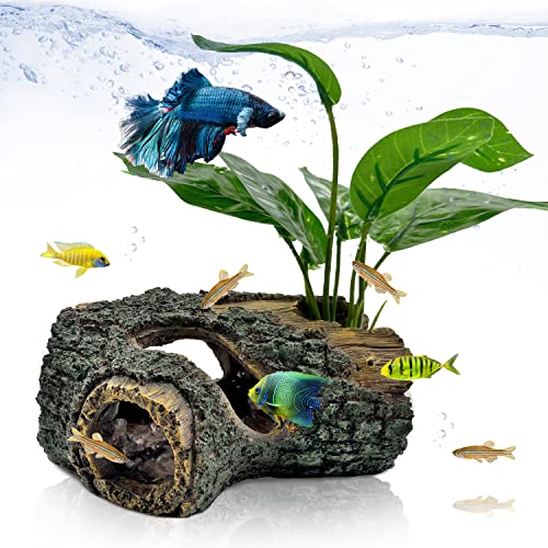 Ipriro Glass Betta Aquarium Starter Kits, With Tree Trunk And Plants Decorations, Small Fish Tank With Led Light And Temp Display 1.5 Gallon, Top Filtration #TOP3