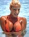 Trish Stratus Huge Wet Bikini Cleavage 010 8x10 PHOTO