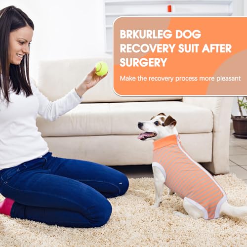 Image of BRKURLEG Small Dog Recovery Suit After Surgery, Abdominal Wound Protection, Back Zipper Spay Recovery Suit for Dogs & Cats, Soft Anti-Licking Puppy Onesie, Cone Alternative, Orange Grey Stripes L