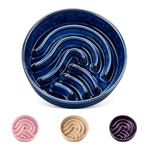 vancasso Slow Feeder Dog Bowl, 0.6 Cup Ceramic Slow Feeding Food Dish for Small Breed, Puzzle Pet Food Bowl for Cat & Dog, Non-Slip & Tip-Proof, Blue