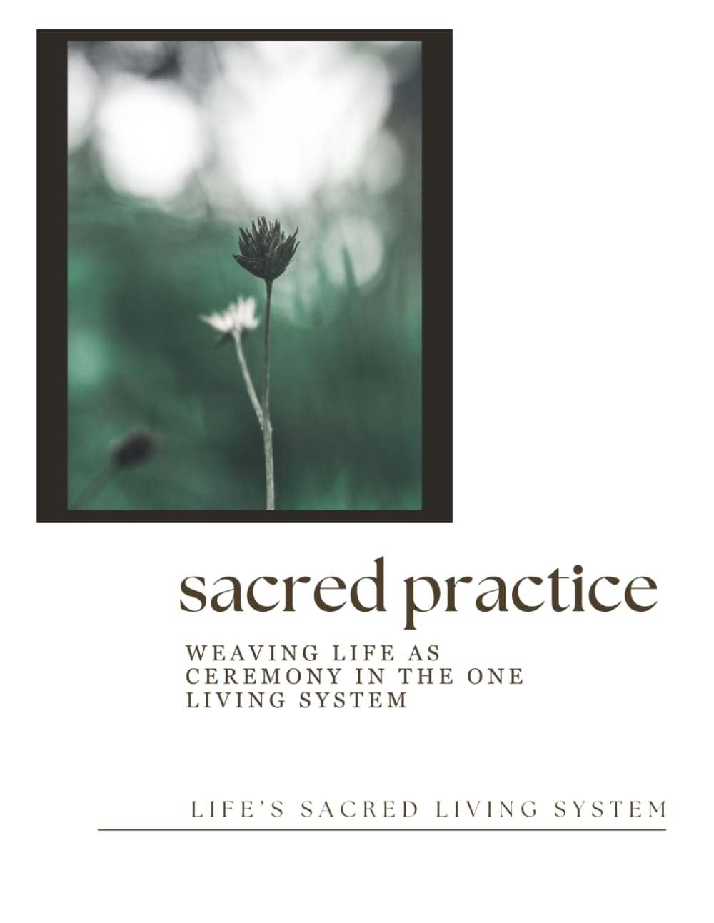 Sacred Practice: Weaving Life as Ceremony in The One Living System (Field Companions)