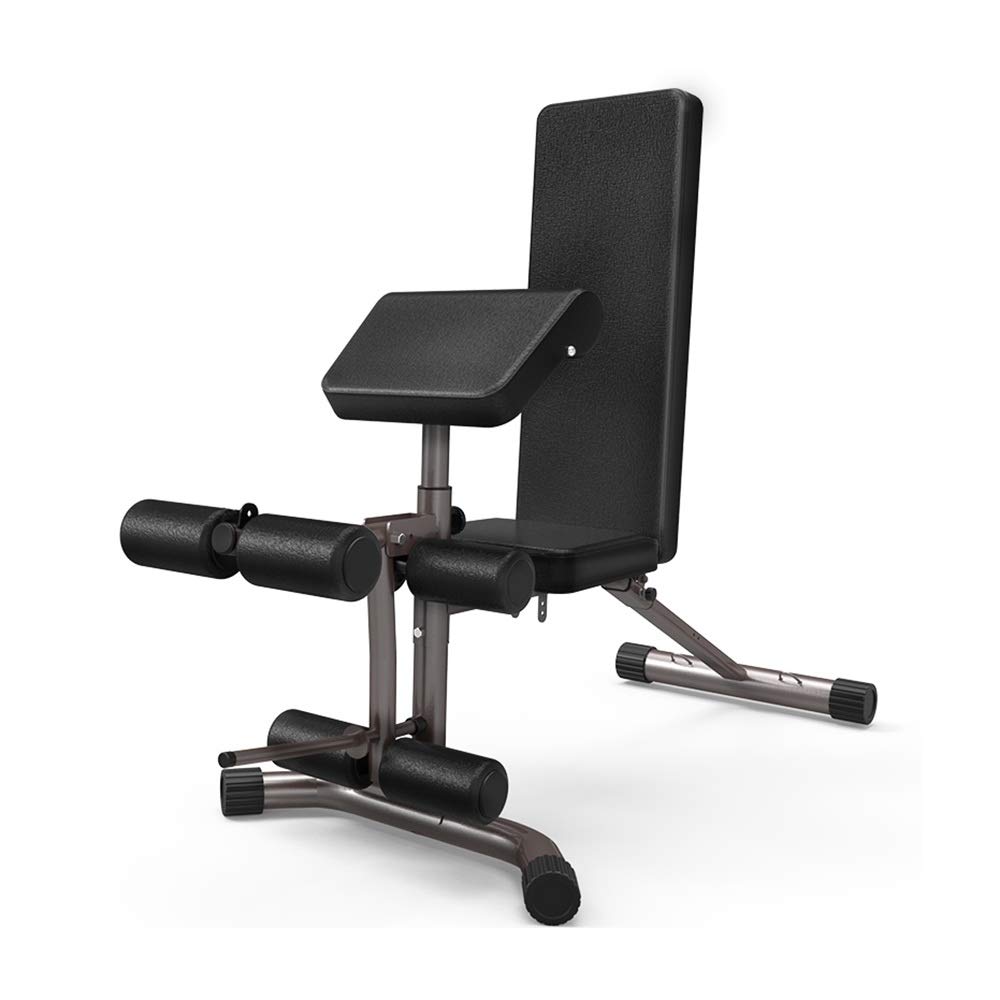 DUXX Workout Bench - Dumbbell Bench Home Adjustable Multi-Function Fitness Chair Fitness Bench for B