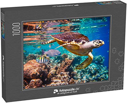 Preisvergleich Produktbild fotopuzzle.de Puzzle 1000 Teile Karettschildkröte - Eretmochelys imbricata schwimmt unter Wasser. Malediven Korallenriff im Indischen Ozean