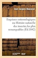 Esquisses entomologiques ou Histoire naturelle des insectes les plus remarquables 2013478895 Book Cover