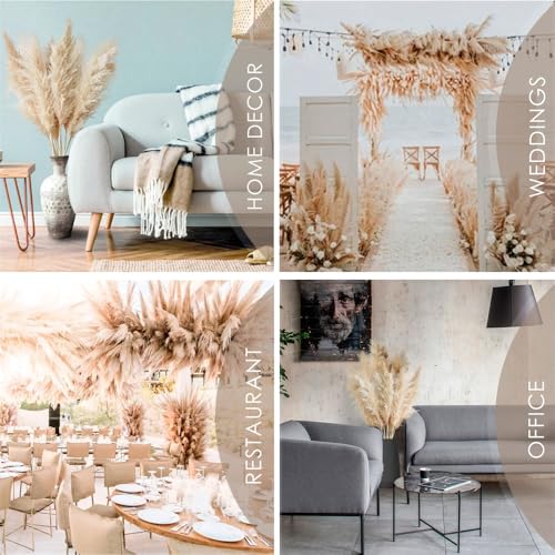 Pampas Grass Large 60cm Fluffy Tall Pampas Decor (5pcs) miniatura 6