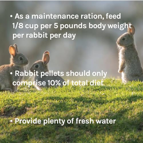 New Country Organics Rabbit Food Pellets | Essential Bunny Supplies | Corn-Free and Soy-Free | 15% Protein Rabbit Feed for Healthy Hoppers | Certified Organic and Non-GMO | 40 lbs