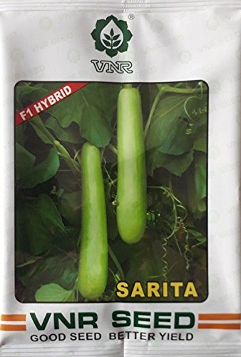 VNR SEEDS Bottle Gourd Seeds F1 Hybrid Bottle Gourd Variety- Sarita 10 Grams-image-16