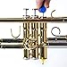 MusicNomad Premium 3 pc. Trumpet Brush Cleaning Kit: Mouthpiece, Valve & Snake Brush with Storage Bag (MN765)