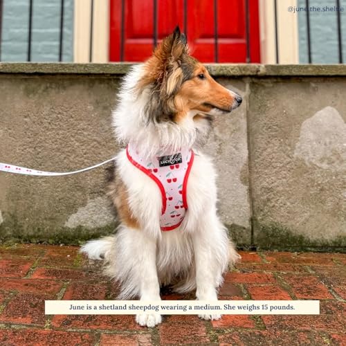 Lucy & Co. Cheery Cherries, niedliches wendbares Hundegeschirr, Spazierengehalfter, beste Designer-Haustiergeschirre für XS-XL, gepolsterte, verstellbare Weste für einfaches Spazierengehen, Größe L