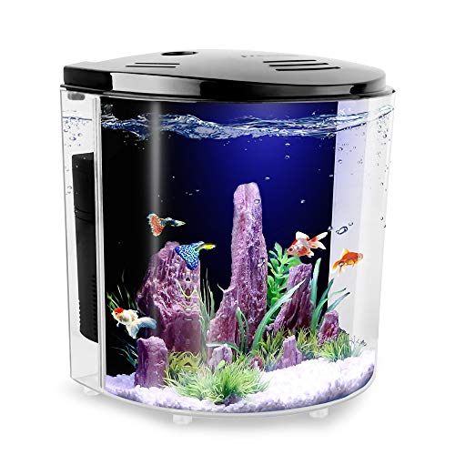 half cylinder aquarium