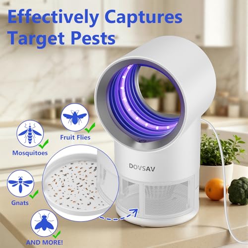 Image of Fruit Fly Trap for Indoors, White Bug Zapper Indoor with Suction & Timer | Uv Light Lures Fruit Flies /Gnats, Timer 6 /12hrs, Plug in Fly Trap with Suction, Kid & Pet Applicable, Low Noise, 10 refills