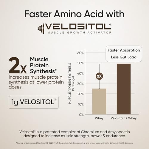 Image of Wellbeing Nutrition Clean Whey Protein Isolate & Concentrate 1Kg Swiss Chocolate | 24g Protein, Clinically Proven Velositol 2x Muscle Protein Synthesis, 4B CFU Probiotics & Digestive Enzymes, Easy to Digest