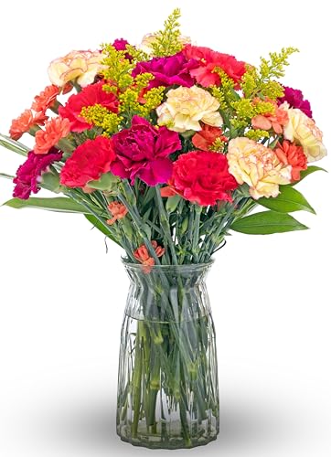 Benchmark Bouquets Carnation Flower Bouquet – Graduation Flowers for Delivery – Fresh Cut Floral Arrangement – Yellow Orange Purple Flowers – Birthday & Get Well Gifts for Women – Glass Vase Included