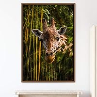 Framed Canvas Wall Art Giraffe Animals Expressive Farmhouse/Country Giraffe Living Room Multicolor Photography - 16x24 inches