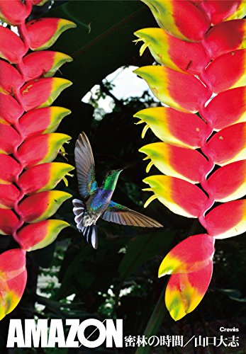 オライリー 無料電子書籍 AMAZON 密林の時間 バイ