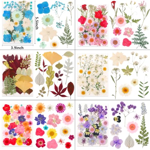 Image of NESCCI 420 Pcs Dried Pressed Flowers for Resin,Real Nature Dried Flowers for Crafts Bulk Dry Flowers Leaves Kit Used for Resin Molds Scrapbooking DIY Art Crafts Candle Soap Making Nails Decor