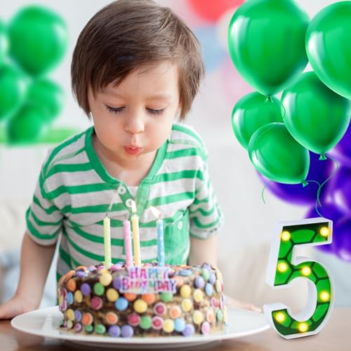 LED Number Lights Cartoon Themed Birthday Decorations LED Light Up Number Centerpieces Table Decorations for Party Supplies Backdrop Wall Decor for Birthday Party Decorations (Number 5)
