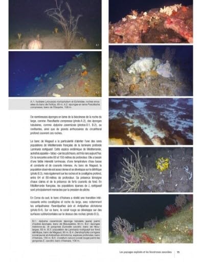 Guide de la faune profonde de la mer méditerranée: Exploration des roches et canyons sous-marins des cotes françaises      Hardcover – July 10, 2017