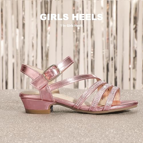 Image of PANDANINJIA Girls Heels Dress Shoes Open Toe Low Heel Sandals Flower Girl Toddler Little Big Kids Wedding Party Shoes