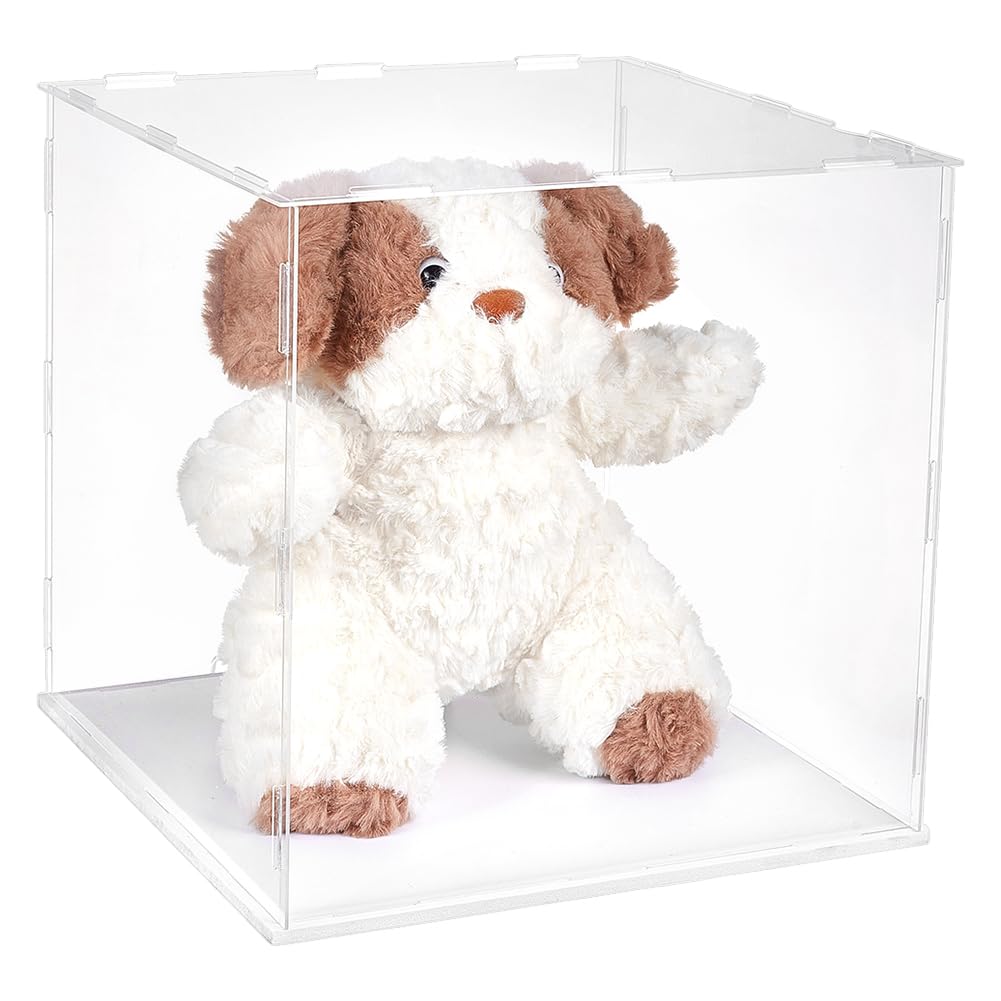 WADORN Clear Acrylic Display Case