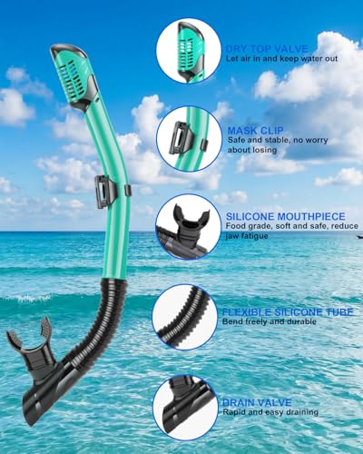 Set de Máscara de Snorkel para Adultos, Máscara de Buceo, Gafas de Natación, Ajuste Automático, Antivaho y Antifugas miniatura 6