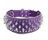 Hoot PU Leather Adjustable Spiked Studded Dog Collar 2' Wide 31 Spikes 52 Studs (S(Neck 17'-20'), Purple)