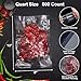 600 Vacuum Sealer Bags For Food 8x12 Inch, BPA Free Quart Freezer Sealed Bags, Compatible with All Heat Vacuum Sealers Machine, Heavy Duty, Ideal for vac storage, Meal Prep or Sous Vide
