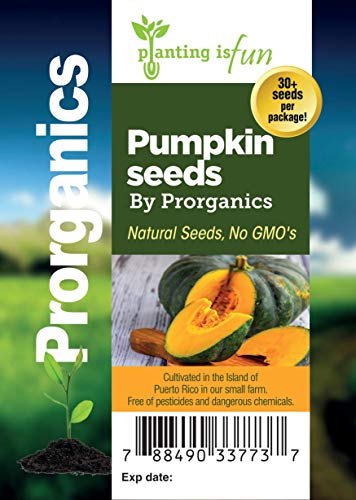 30 puertorriqueño Calabaza, semi di femminili di Prorganics