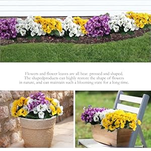 Hananona 12 bundles artificial flowers outdoor uv resistant artificial silk pansies faux plastic flower in bulk fake outdoor plants12 yellow white purple  urban country home decor