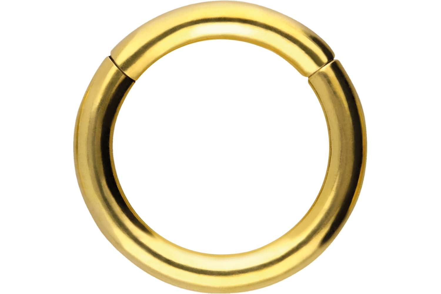 PIERCINGLINE Anillo segmento Clicker de acero quirúrgico – Piercing en oro, plata, rosa, negro o azul – para nariz, tabique, oreja, hélice o tragus — view 77