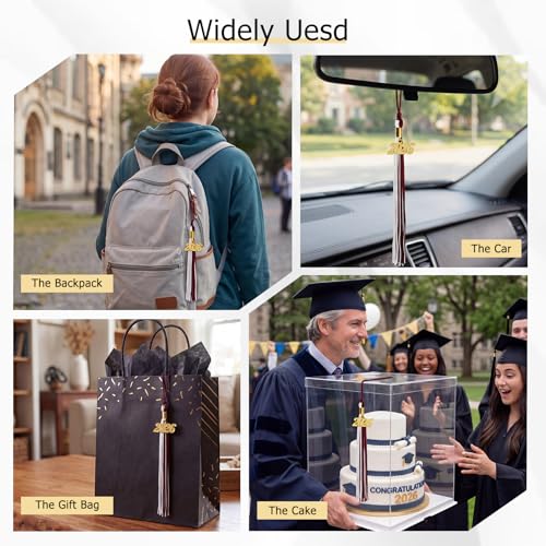 Image of GraduationMall Single&Multiple Color Graduation Tassel with 2026 Year Charm 9 inch