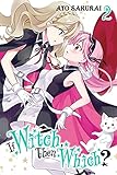 If Witch, Then Which? Vol. 2