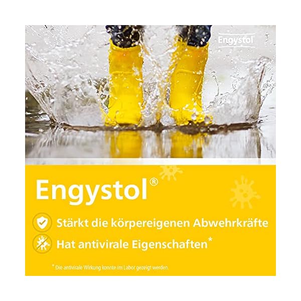 Engystol - natürliches Arzneimittel zur Immunstärkung bei grippalen Infekten, Tabletten 250 Stück – Bild 6