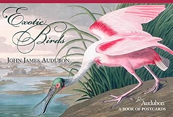 Cards John James Audubon: Exotic Birds Book of Postcards Book