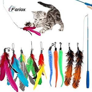 Fariox Feather Teaser Cat Toy, 1 Pcs Retractable Interactive Cat Teaser Rods, 10 Pcs Replacement Colorful Feather Refills with Bells, Feather Dangler Funny Exercise for Indoor Cat Kitten Catcher