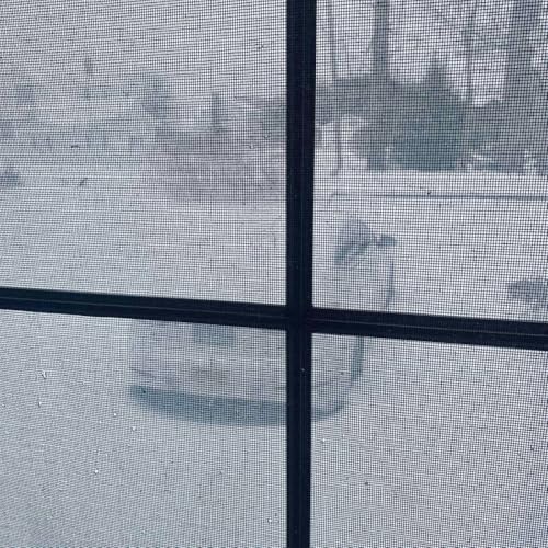 It's COLD, people (and it's pre-recorded)