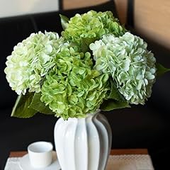 2 Green & 2 Light Green