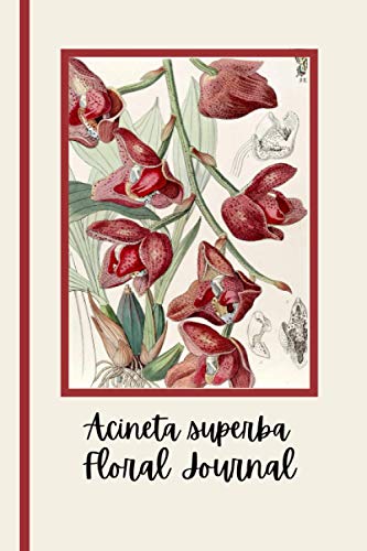 Floral Journal acineta superba: Lined pages for those who love to write things down