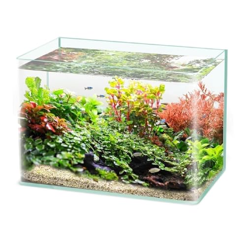 水槽 60×30」の人気商品一覧 | 安い商品を通販サイトから探す - 価格.com