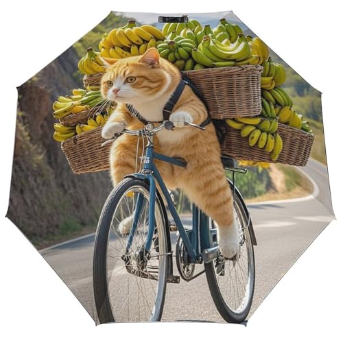 Parapluie léger et portable pour vos trajets quotidiens en ville