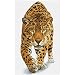 Produktbild DIAMOND DOTZ DQ9.007 - Original 5D Diamond Painting Squares Set Leopard, Kreativset mit 23.205 quadratische Diamant Mosaiksteinen, Malset ca. 52 x 32 cm für Erwachsene und Kinder ab 8 Jahren