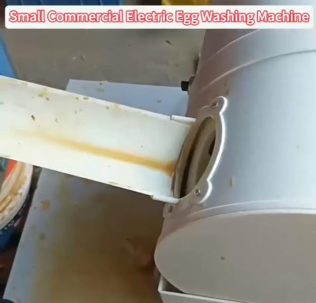 150W Electric Egg Washer Machine, Automatic Egg Cleaning Machine, 2300 Pcs/H Chicken Duck Goose Egg Cleaner Wash Machine
