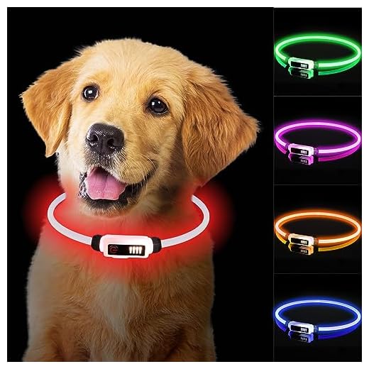 TENXSNUG Collar Luminoso Perros Recargable por Type-C, Collar Luminoso LED Perro con Ajustable y Impermeable, 3 Modos Seguridad Nocturna Collares LED para Perros Pequeños Medianos Grandes, Rojo